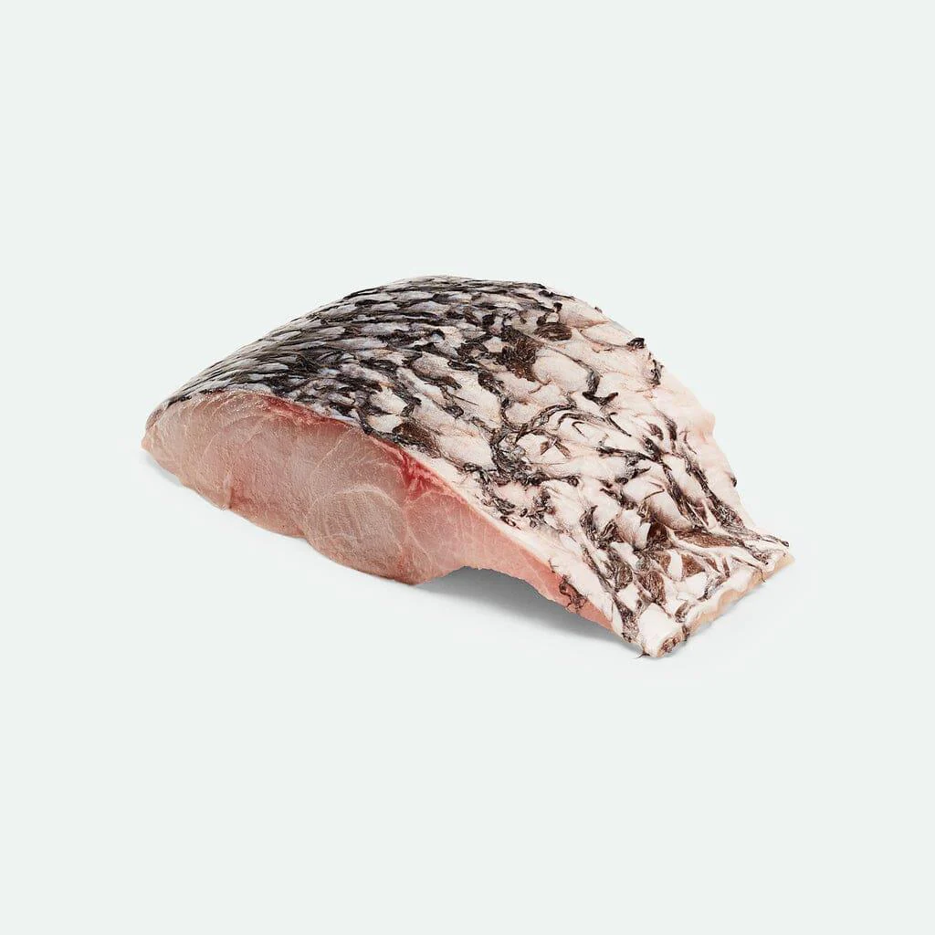 Barramundi