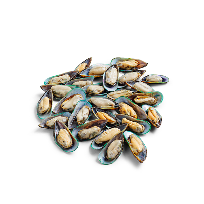 Mussels