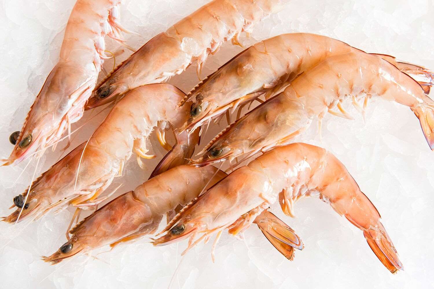 Prawn